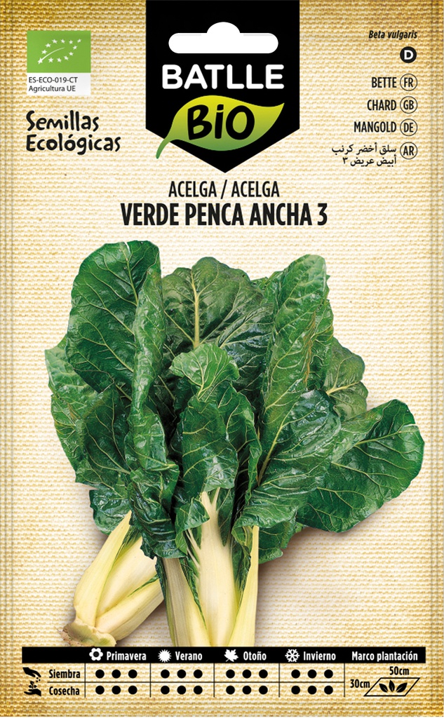 ACELGA VERDE DE PENCA ANCHA 3 ECO.