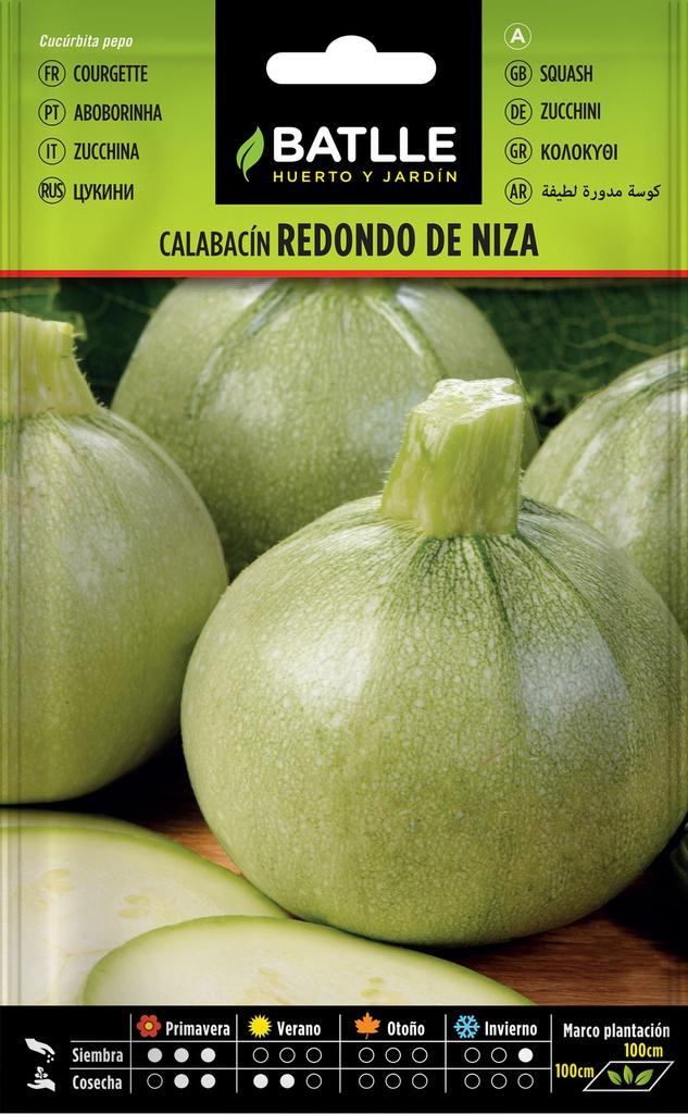 CALABACÍN REDONDO DE NIZA