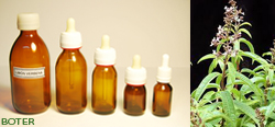PERFUME DE LIMÓN VERBENA BOTER