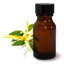 ACEITE ESENCIAL DE YLANG YLANG III BOTER