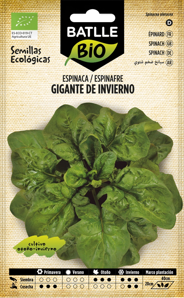 ESPINACA GIGANTE DE INVIERNO ECO.