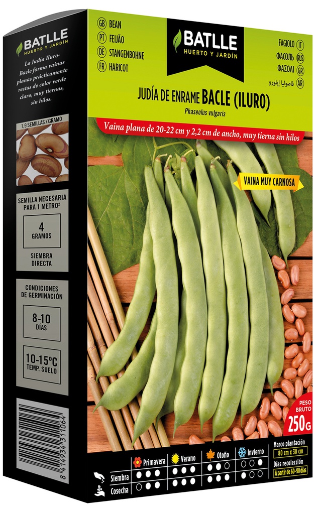 JUDIA DE ENRAME T/ILURO BATLLE 250gr.