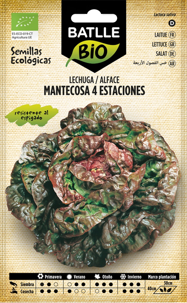 LECHUGA MANTECOSA CUATRO ESTACIONES ECO.