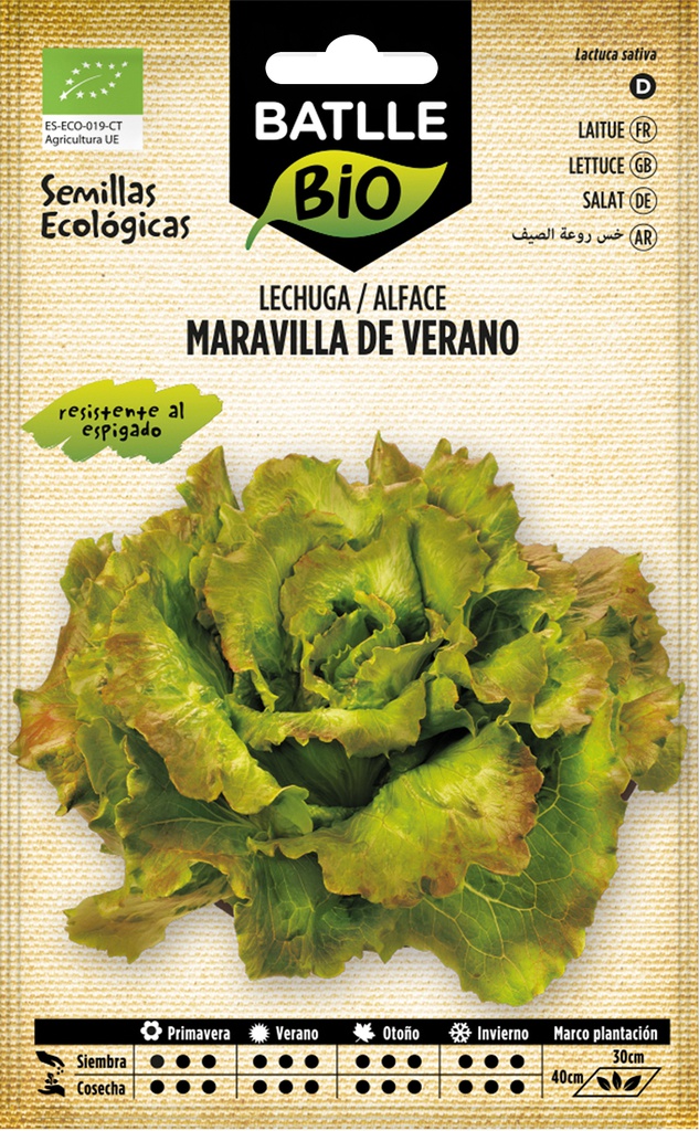LECHUGA MARAVILLA DE VERANO ECO.