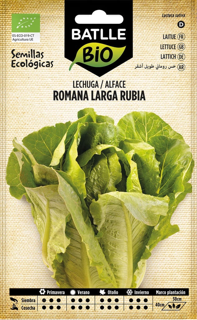LECHUGA ROMANA LARGA RUBIA ECO.