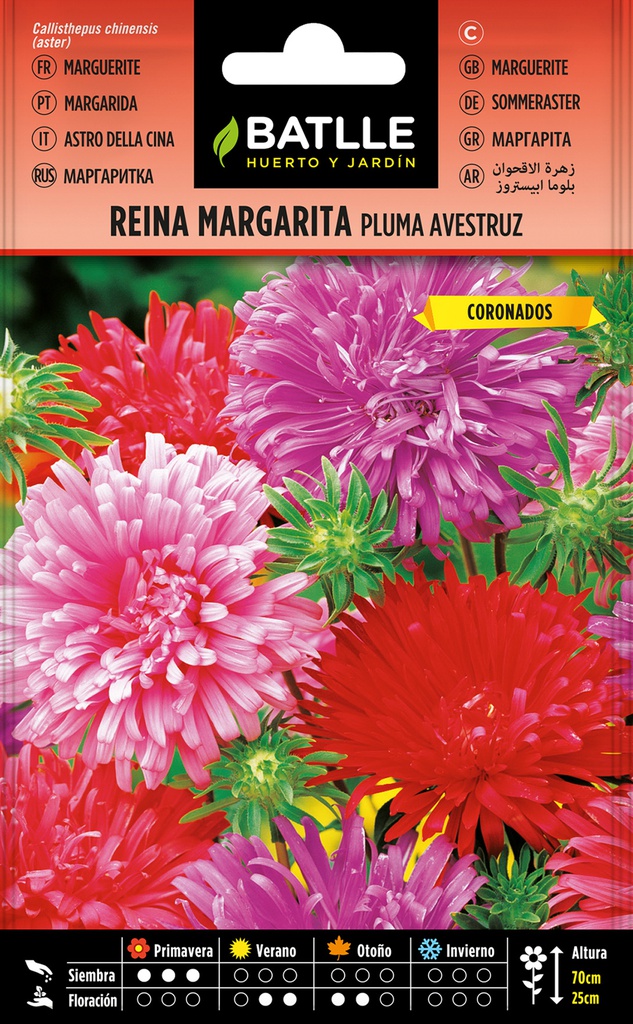 SEMILLA BATLLE REINA MARG. PLUMA AVESTRUZ