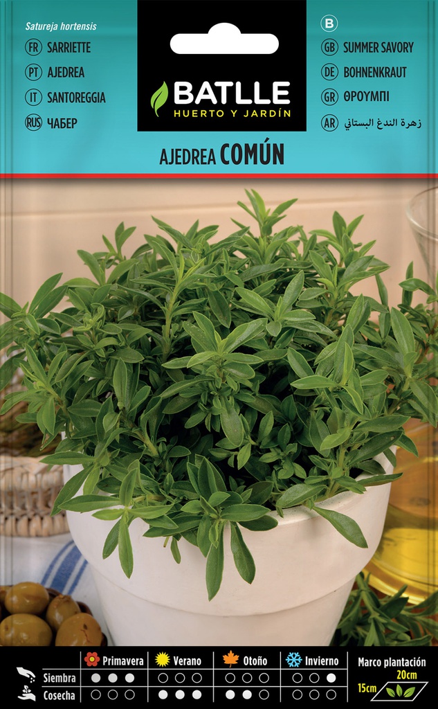 SEMILLAS BATLLE AJEDREA
