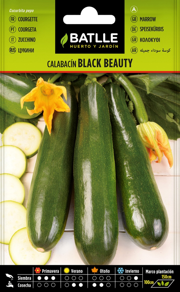 SEMILLAS BATLLE CALABACIN BLACK BEAUTY