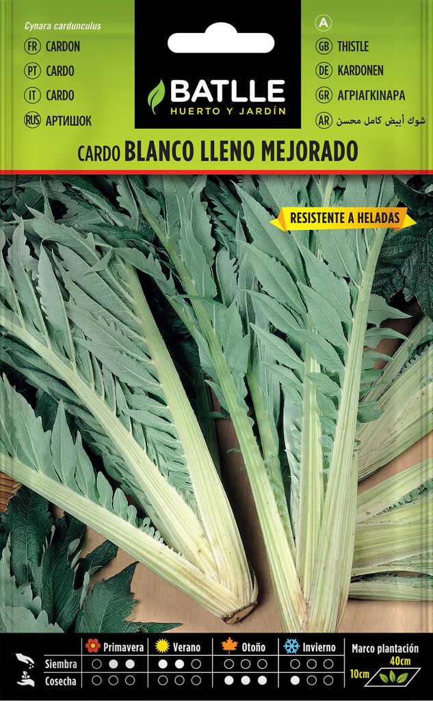 SEMILLAS BATLLE CARDO BLANCO LLENO