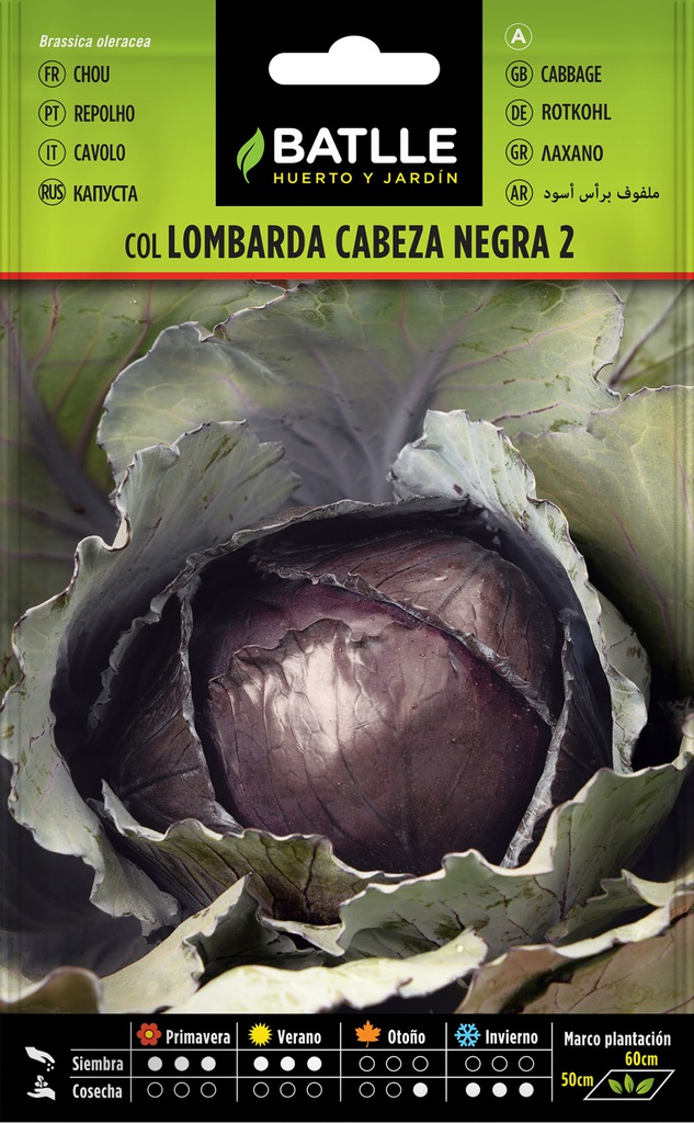 SEMILLAS BATLLE COL LOMBARDA CABEZA NEGRA 2