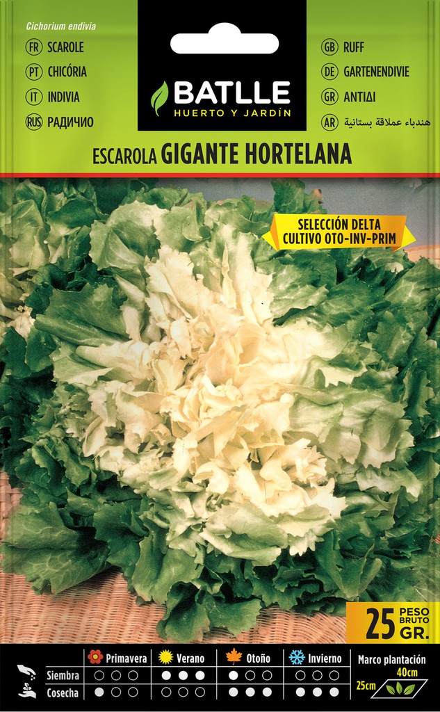 SEMILLAS BATLLE ESCAROLA GIGANTE HORTELANA SEL.DELTA