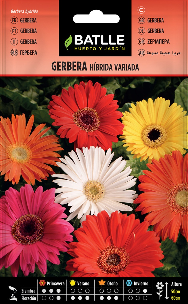 SEMILLAS BATLLE GERBERA HIBRIDA VARIADA