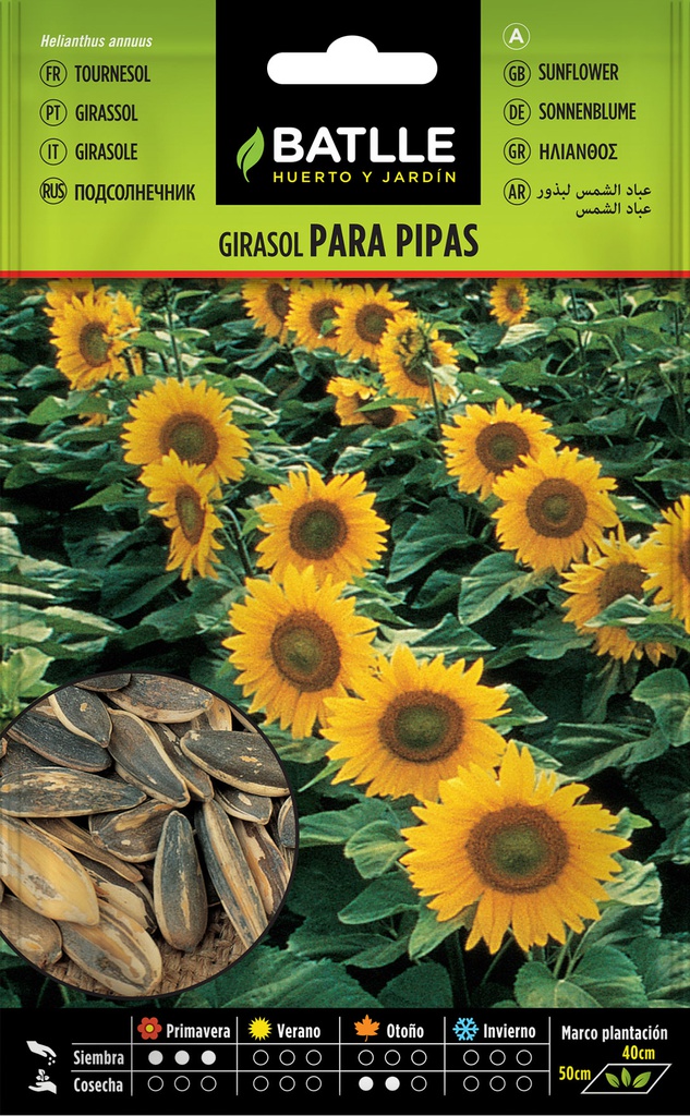 SEMILLAS BATLLE GIRASOL PARA PIPAS