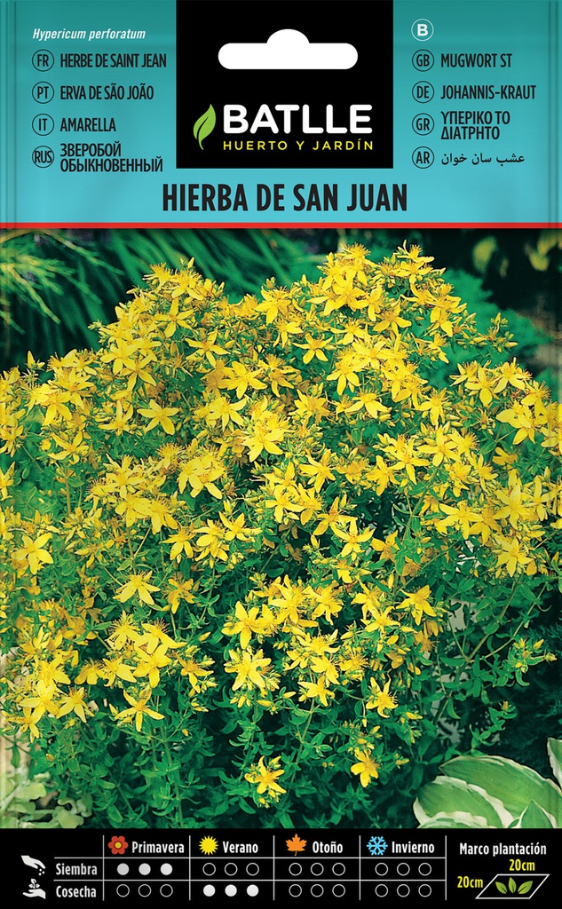 SEMILLAS BATLLE HIERBA DE SAN JUAN