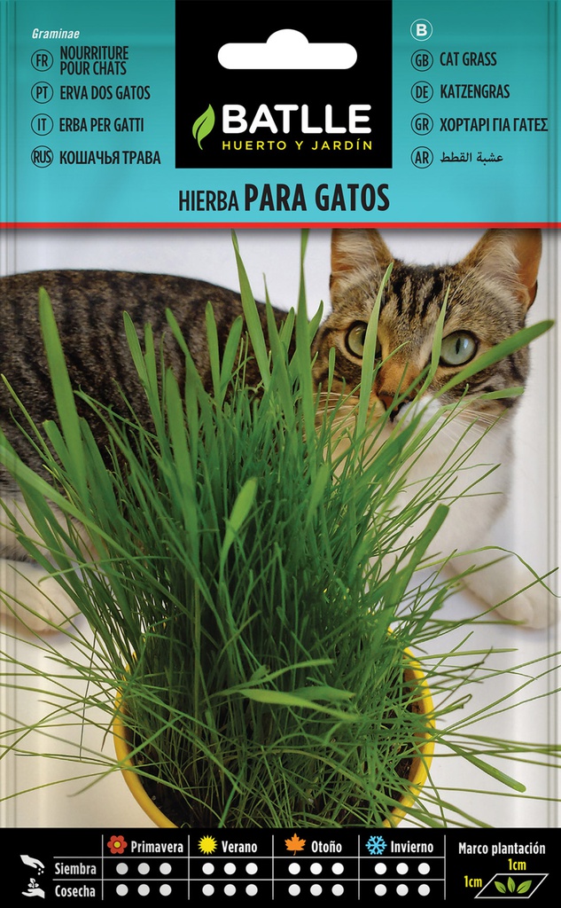SEMILLAS BATLLE HIERBA PARA GATOS