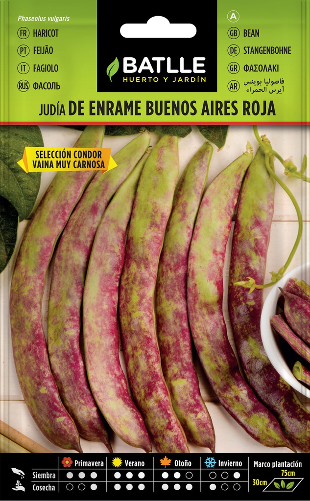 SEMILLAS BATLLE JUDIA ENRAME BUENOS AIRES ROJA SEL. CONDOR