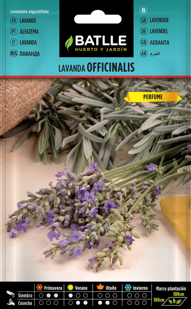 SEMILLAS BATLLE LAVANDA  OFFICINALIS