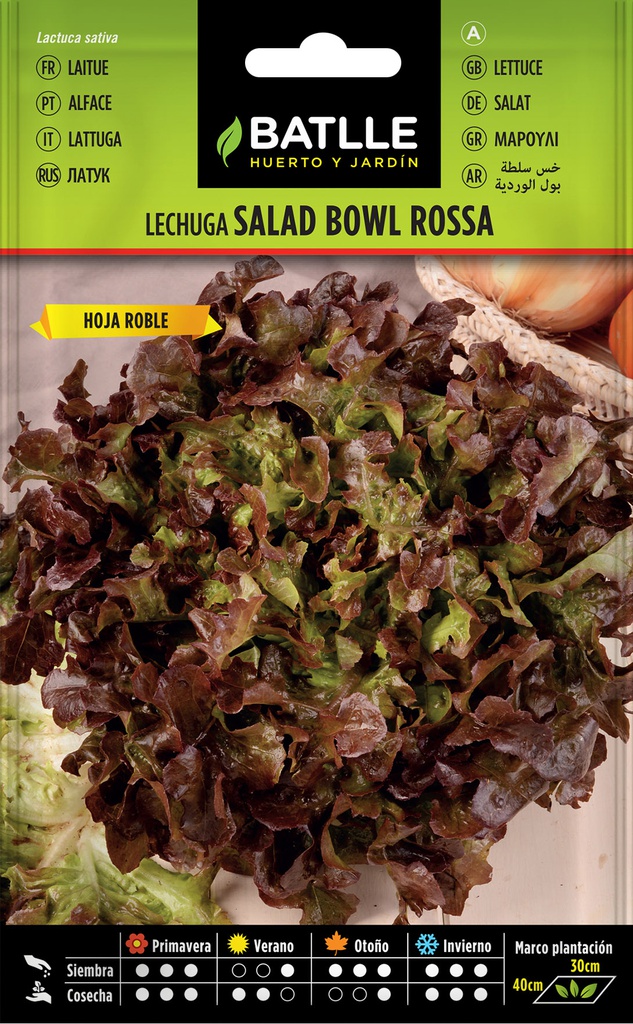 SEMILLAS BATLLE LECHUGA SALAD BOWL ROJA
