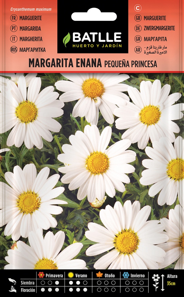 SEMILLAS BATLLE MARGARITA ENANA PEQUEÑA PRINCESA