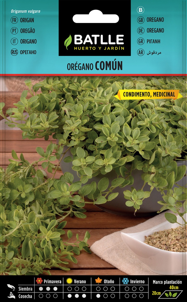 SEMILLAS BATLLE ORÉGANO VULGARE