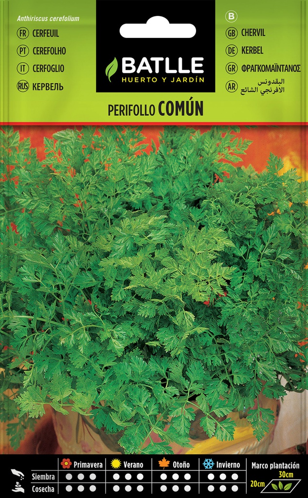 SEMILLAS BATLLE PERIFOLLO