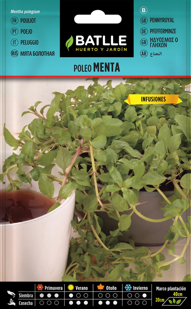 SEMILLAS BATLLE POLEO MENTA