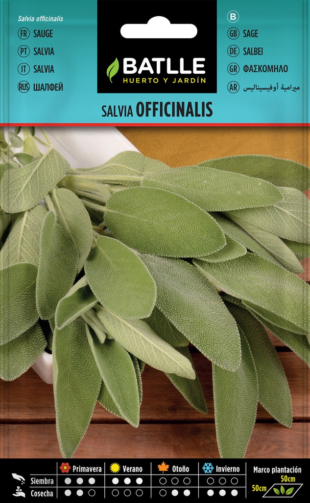 SEMILLAS BATLLE SALVIA