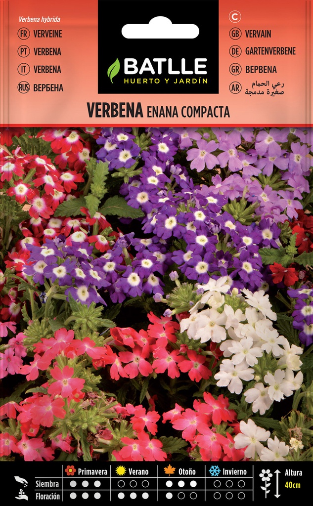 SEMILLAS BATLLE VERBENA ENANA COMPACTA