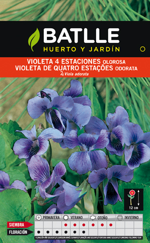 SEMILLAS BATLLE VIOLETA 4 ESTACIONES