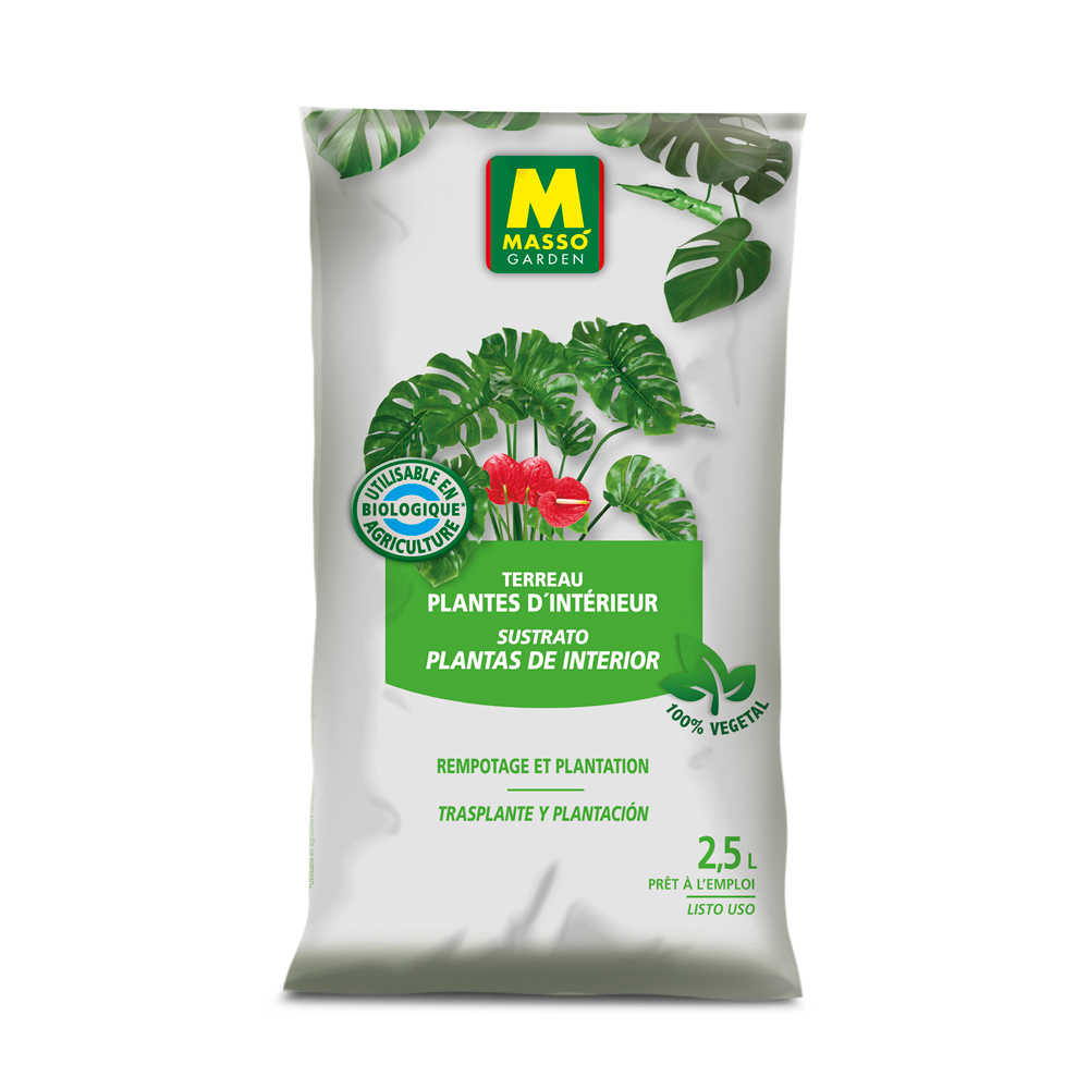 SUBSTRATO PLANTA INTERIOR 2,5 LT. MASSO