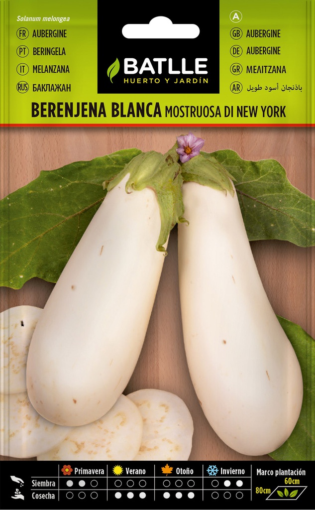 BERENJENA BLANCA MONSTRUOSA DI NEW YORK