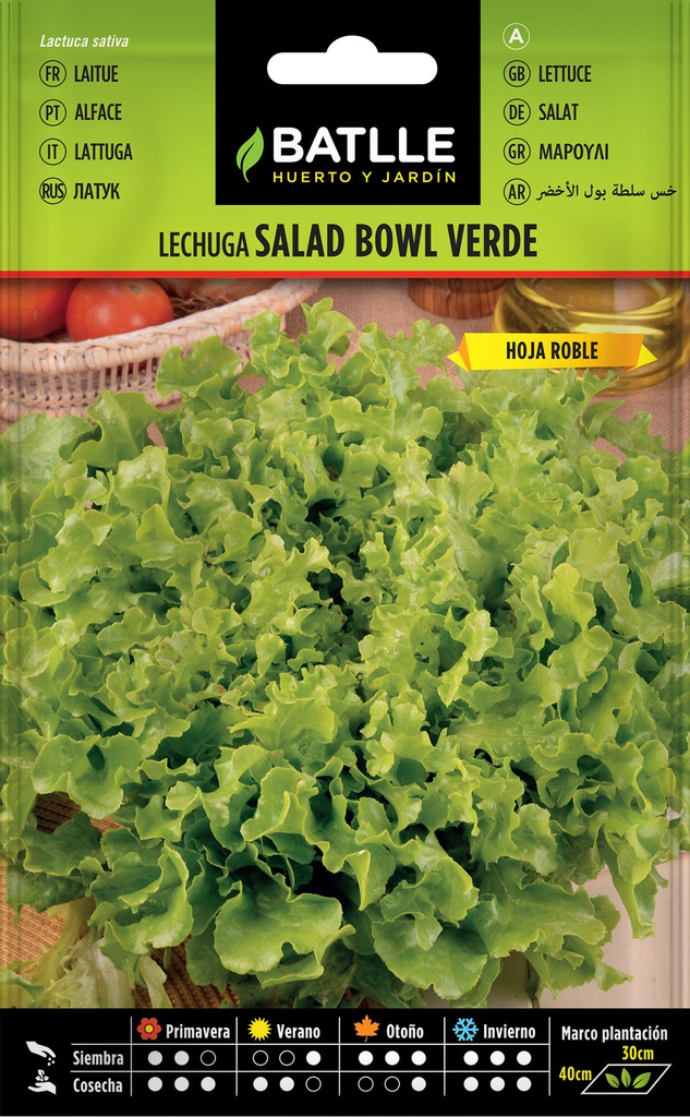 LECHUGA SALAD BOWL VERDE