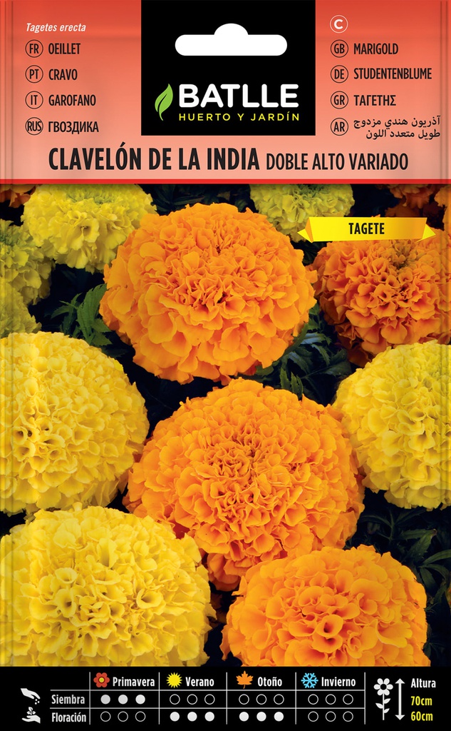 CLAVELON DE LA INDIA DOBLE ALTO VARIADO