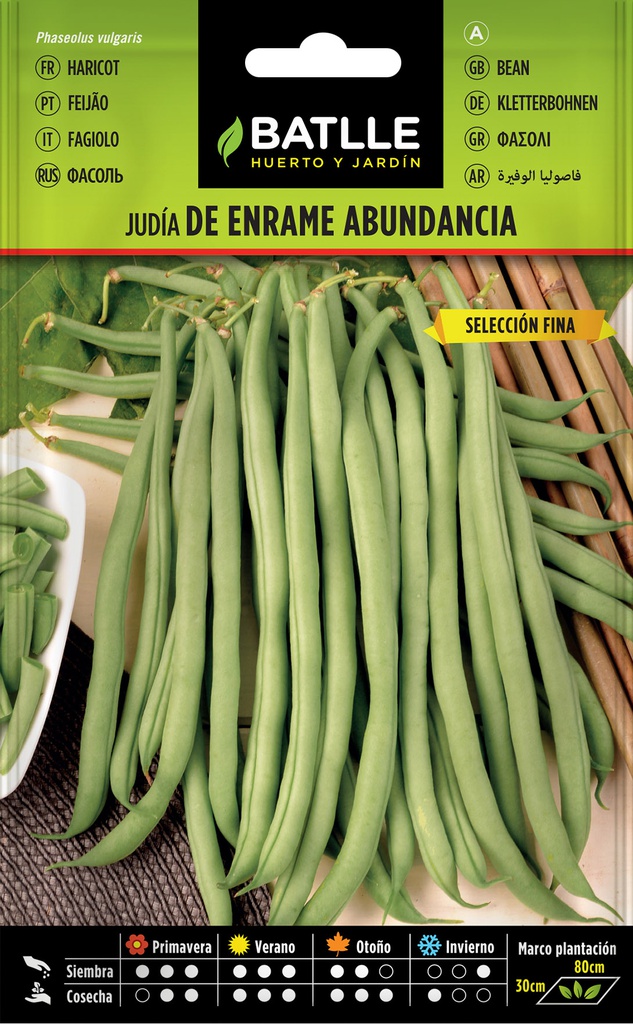 JUDIA DE ENRAME ABUNDANCIA