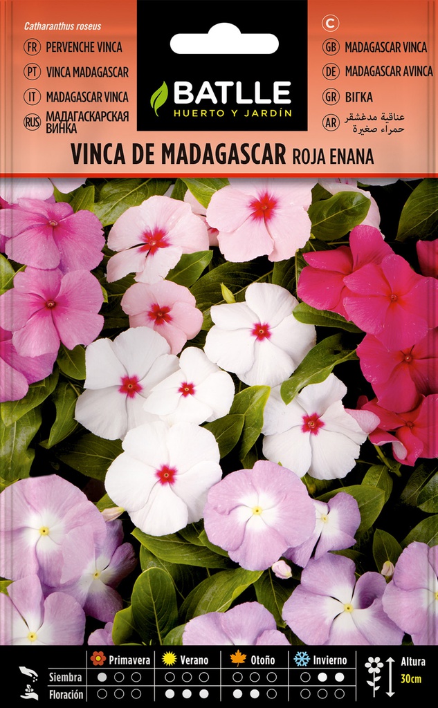 SEMILLAS BATLLE VINCA DE MADAGASCAR ROJA ENANA