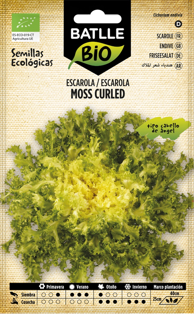  ESCAROLACABELLO DE ANGEL MOSS CURLED ECO.