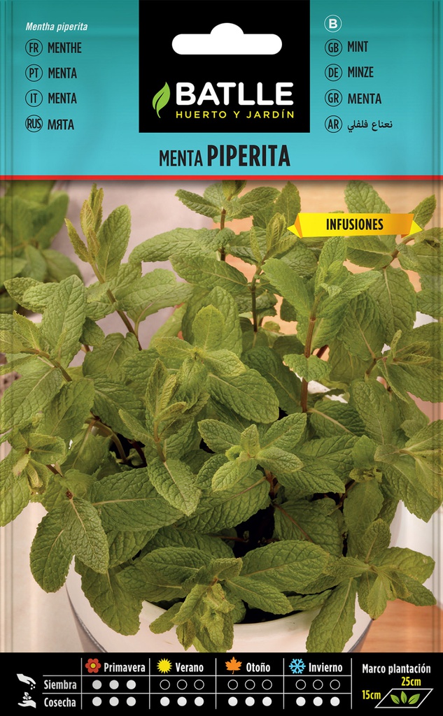 SEMILLAS BATLLE MENTA PIPERITA
