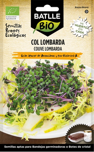 [3001688] BROTES 100% ECO COL LOMBARDA