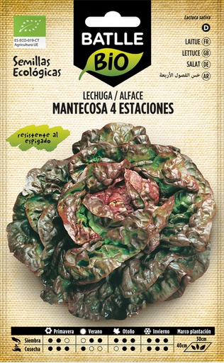 [3001661] LECHUGA MANTECOSA CUATRO ESTACIONES ECO.