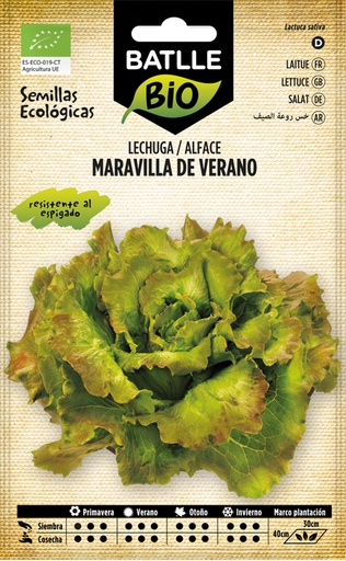 [3001659] LECHUGA MARAVILLA DE VERANO ECO.