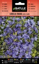 LOBELIA ENANA AZUL CLARO