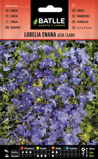 [3001479] LOBELIA ENANA AZUL CLARO