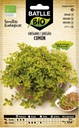 OREGANO (ORIGANUM VULGARIS) ECO. 
