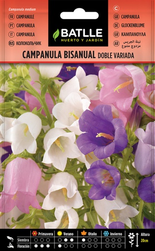 [3001488] SEMILLA BATLLE CAMPANULA BISANUAL DOBLE VARIDADA