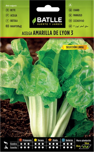 [3001259] SEMILLAS BATLLE ACELGA AMARILLA DE LYON 3