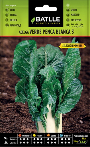 [3001250] SEMILLAS BATLLE ACELGA VERDE PENCA BLANCA 3