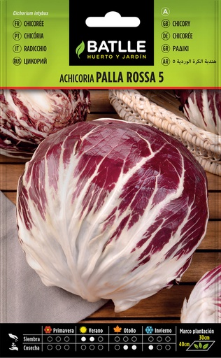 [8414934064113] SEMILLAS BATLLE ACHICORIA PALLA ROSSA 5