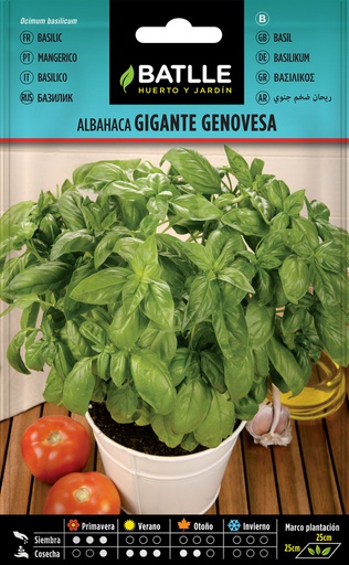 [3001597] SEMILLAS BATLLE ALBAHACA GIGANTE GENOVESA