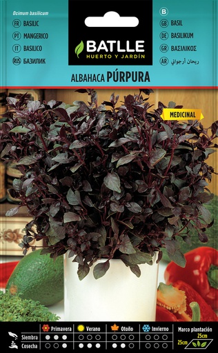 [3001626] SEMILLAS BATLLE ALBAHACA PÚRPURA 