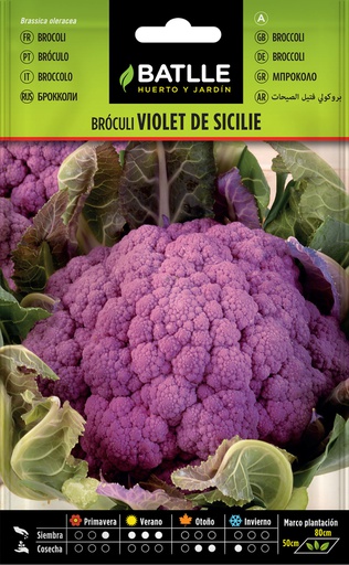 [3001354] SEMILLAS BATLLE BRÓCULI VIOLET DE SICILE